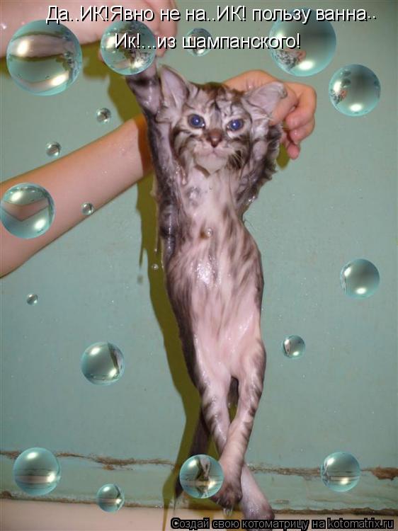 Да..ИК!Явно не на..ИК! пользу ванна Ик!...из шампанского! ...... Котоматрица: Да..ИК!Явно не на..ИК! пользу ванна Ик!...из шампанского! ...