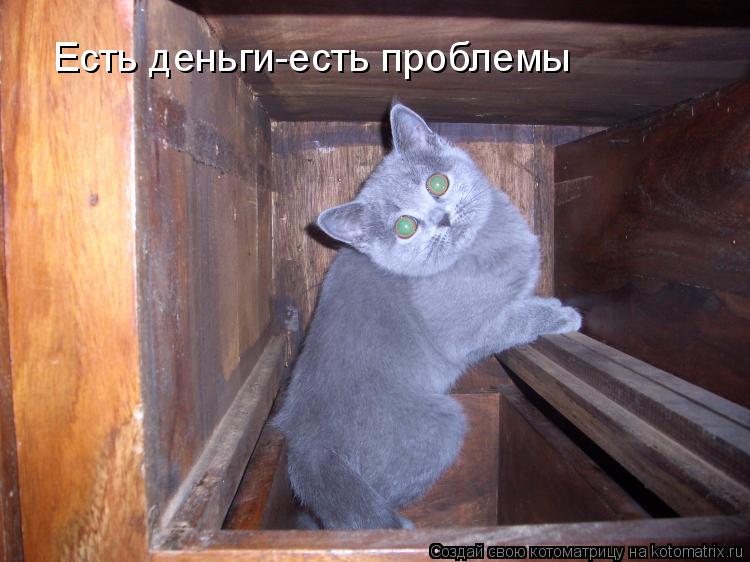Есть деньги-есть проблемы... Котоматрица: Есть деньги-есть проблемы