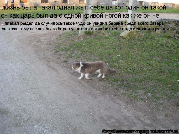 жизнь была такая одная жыл себе да кот один он такой он как царь был да с одной кривой ногой как же о... Котоматрица: жизнь была такая одная жыл себе да кот один он такой он как царь был да с одной кривой ногой как же он не он как царь был да с одной кривой ног
