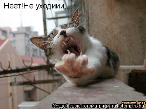 Неет!Не уходиии....!... Котоматрица: Неет!Не уходиии....!