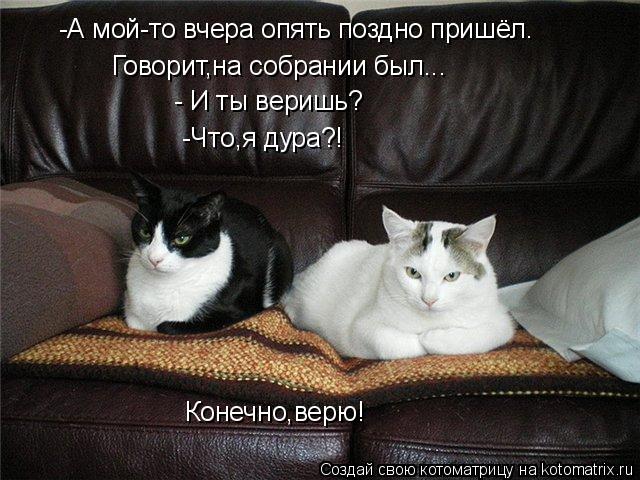-А мой-то вчера опять поздно пришёл. Говорит,на собрании был... - И ты веришь? -Что,я дура?! Конечно,... Котоматрица: -А мой-то вчера опять поздно пришёл. Говорит,на собрании был... - И ты веришь? -Что,я дура?! Конечно,верю!