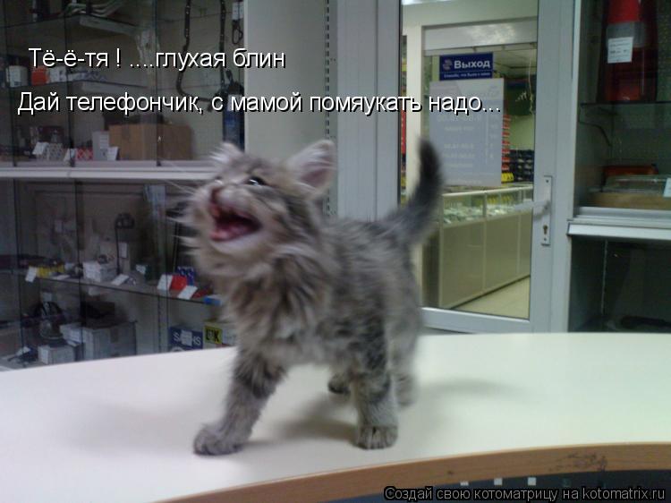Тё-ё-тя ! ....глухая блин Дай телефончик, с мамой помяукать надо...... Котоматрица: Тё-ё-тя ! ....глухая блин Дай телефончик, с мамой помяукать надо...