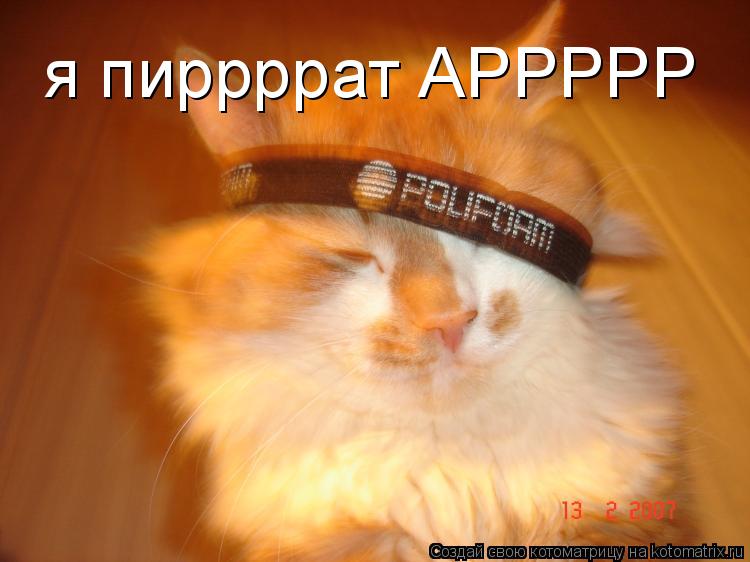 я пиррррат АРРРРР... Котоматрица: я пиррррат АРРРРР