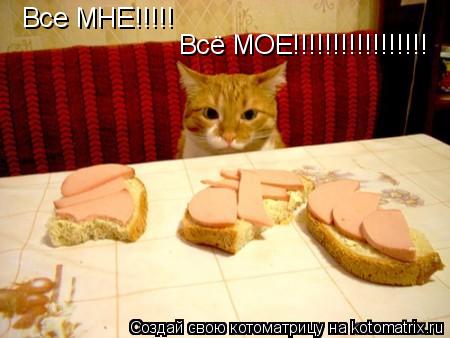 Все МНЕ!!!!! Всё МОЕ!!!!!!!!!!!!!!!!!... Котоматрица: Все МНЕ!!!!! Всё МОЕ!!!!!!!!!!!!!!!!!