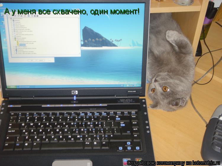 А у меня все схвачено, один момент!... Котоматрица: А у меня все схвачено, один момент!