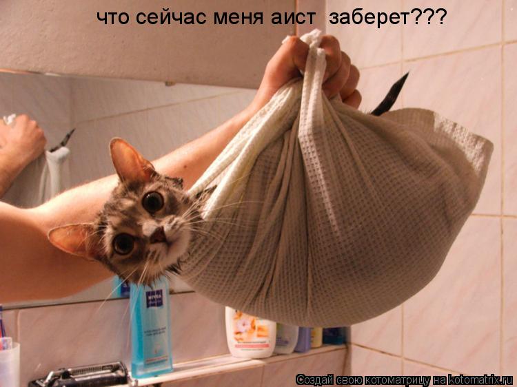 что сейчас меня аист заберет???... Котоматрица: что сейчас меня аист заберет???