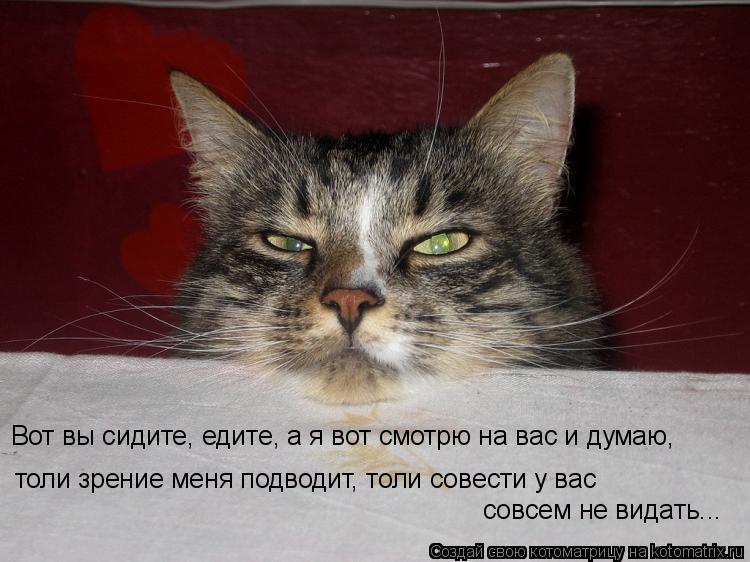 толи зрение меня подводит, толи совести у вас совсем не видать... Вот вы сидите, едите, а я вот смот... Котоматрица: толи зрение меня подводит, толи совести у вас совсем не видать... Вот вы сидите, едите, а я вот смотрю на вас и думаю,