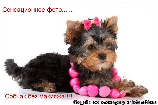 Сенсационное фото...... Собчак без макияжа!!!!... Котоматрица: Сенсационное фото...... Собчак без макияжа!!!!