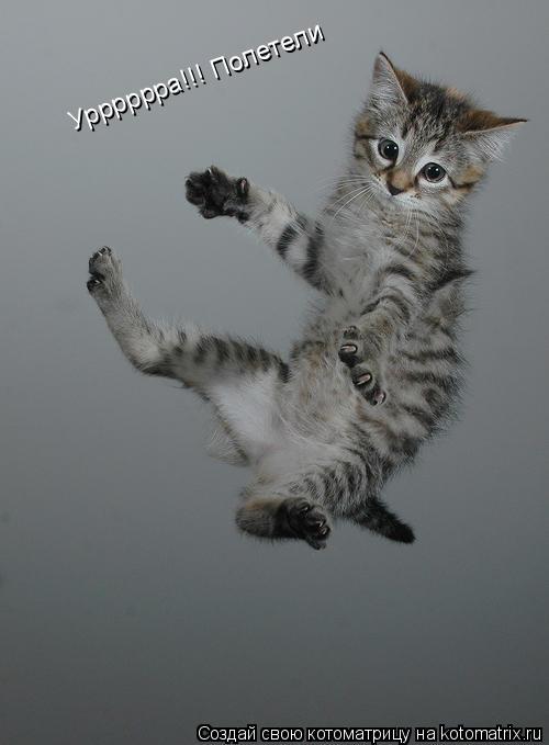 Урррррра!!! Полетели... Котоматрица: Урррррра!!! Полетели