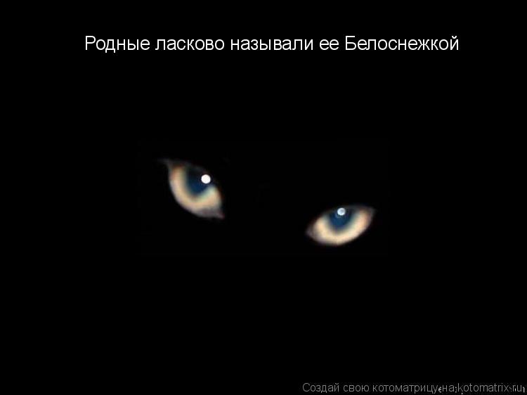 Родные ласково называли ее Белоснежкой... Котоматрица: Родные ласково называли ее Белоснежкой