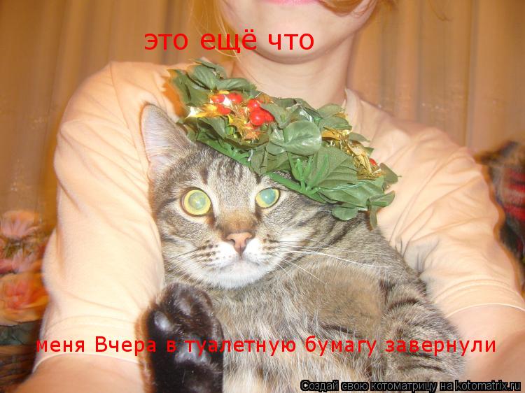 это ещё что меня Вчера в туалетную бумагу завернули... Котоматрица: это ещё что меня Вчера в туалетную бумагу завернули