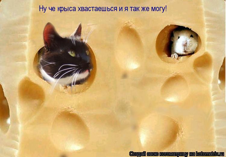 Ну че крыса хвастаешься и я так же могу!... Котоматрица: Ну че крыса хвастаешься и я так же могу!