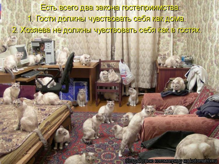 Котоматрица: Есть всего два закона гостеприимства:  1. Гости должны чувствовать себя как дома.  2. Хозяева не должны чувствовать себя как в гостях.
