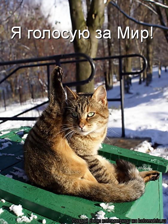 Я голосую за Мир!... Котоматрица: Я голосую за Мир!