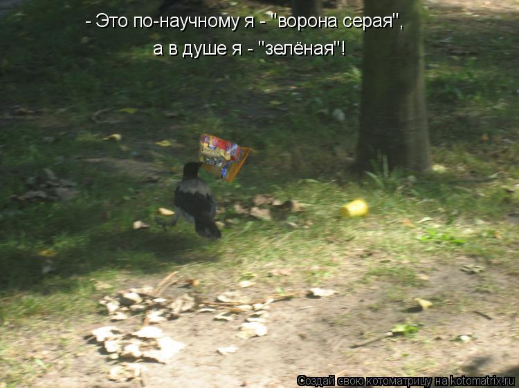- Это по-научному я - "ворона серая", а в душе я - "зелёная"!... Котоматрица: - Это по-научному я - "ворона серая", а в душе я - "зелёная"!