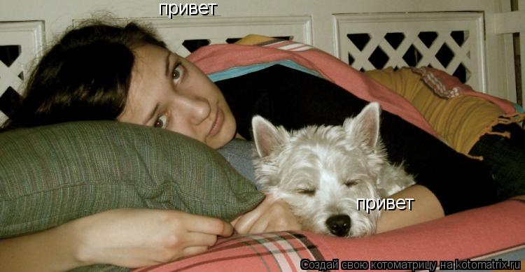 привет привет... Котоматрица: привет привет