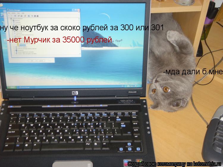 ну че ноутбук за скоко рублей за 300 или 301 -нет Мурчик за 35000 рублей -мда дали б мне стоко я б н... Котоматрица: ну че ноутбук за скоко рублей за 300 или 301 -нет Мурчик за 35000 рублей -мда дали б мне стоко я б не такой ноутбук накакал