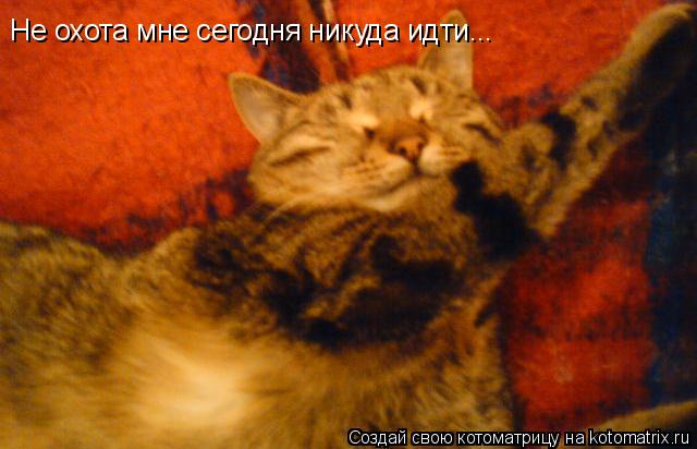 Не охота мне сегодня никуда идти...... Котоматрица: Не охота мне сегодня никуда идти...
