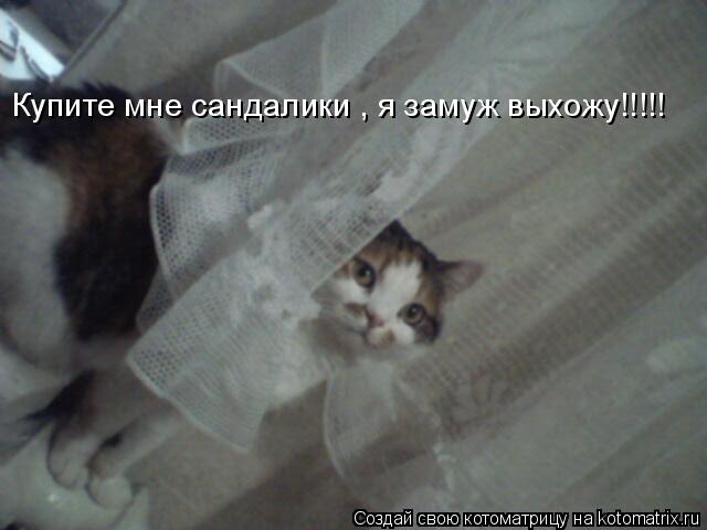 Купите мне сандалики я замуж выхожу Котоматрица: Купите мне сандалики , я замуж выхожу!