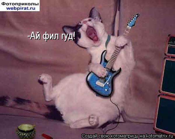 -Ай фил гуд!... Котоматрица: -Ай фил гуд!