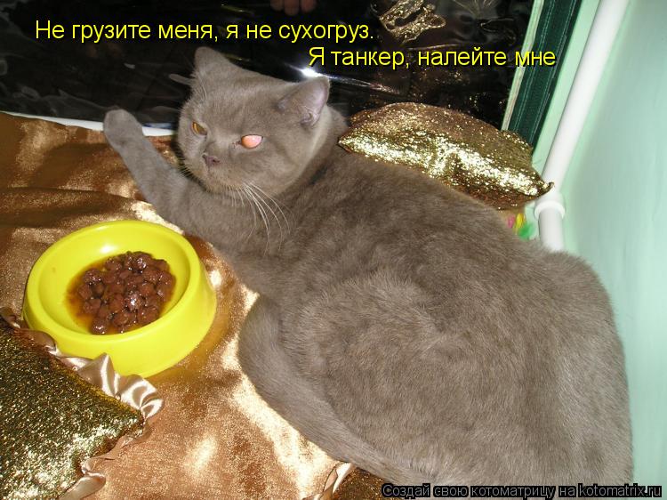 Котоматрица: Не грузите меня, я не сухогруз. Я танкер, налейте мне