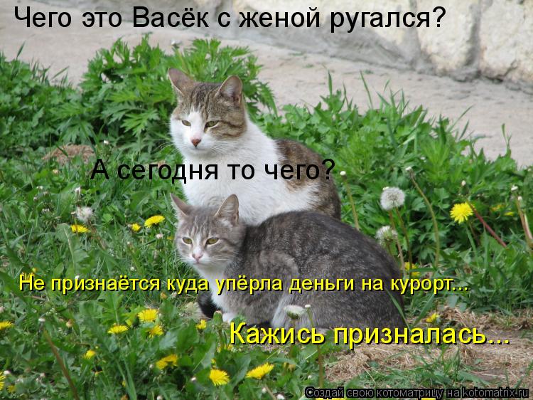 Чего это Васёк с женой ругался? Не признаётся куда упёрла деньги на курорт... А сегодня то чего? Кажи... Котоматрица: Чего это Васёк с женой ругался? Не признаётся куда упёрла деньги на курорт... А сегодня то чего? Кажись призналась...