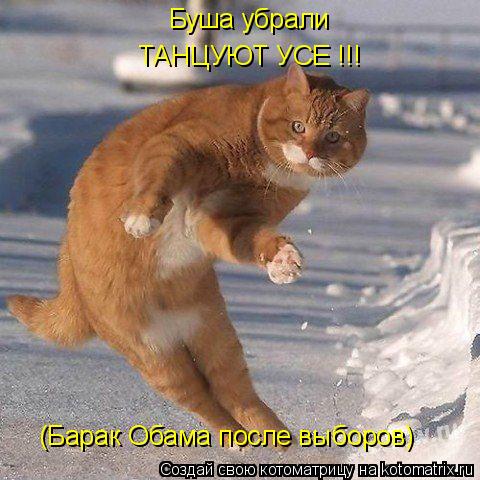 Буша убрали ТАНЦУЮТ УСЕ !!! (Барак Обама после выборов)... Котоматрица: Буша убрали ТАНЦУЮТ УСЕ !!! (Барак Обама после выборов)