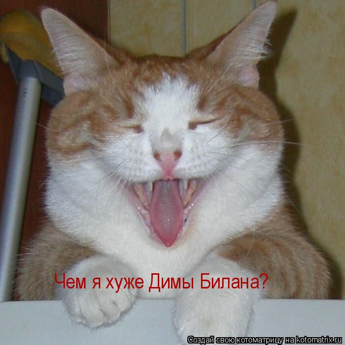 Чем я хуже Димы Билана?... Котоматрица: Чем я хуже Димы Билана?