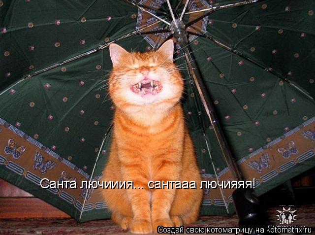 Санта лючииия... сантааа лючияяя!... Котоматрица: Санта лючииия... сантааа лючияяя!