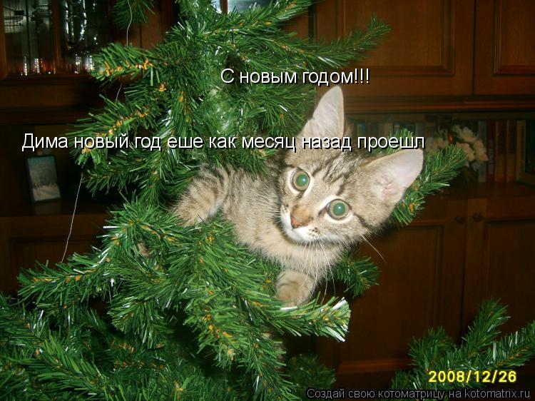 С новым годом!!! Дима новый год еше как месяц назад проешл... Котоматрица: С новым годом!!! Дима новый год еше как месяц назад проешл
