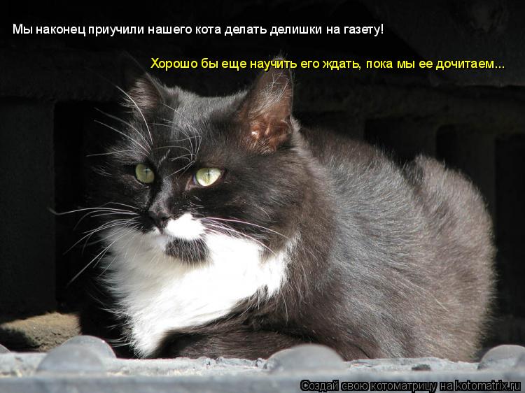 Мы наконец приучили нашего кота делать делишки на газету! Хорошо бы еще научить его ждать, пока мы ее... Котоматрица: Мы наконец приучили нашего кота делать делишки на газету! Хорошо бы еще научить его ждать, пока мы ее дочитаем...