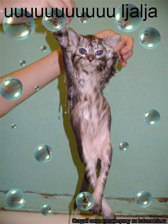 uuuuuuuuuuu ljalja... Котоматрица: uuuuuuuuuuu ljalja