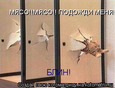 Котоматрица: МЯСО!!МЯСО!! ПОДОЖДИ МЕНЯ!! БЛИН!
