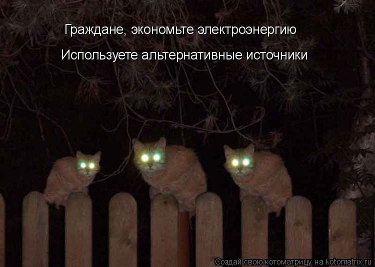 Граждане, экономьте электроэнергию Используете альтернативные источники... Котоматрица: Граждане, экономьте электроэнергию Используете альтернативные источники
