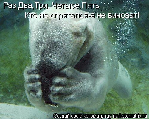 Раз,Два,Три, Четыре,Пять Кто не спрятался-я не виноват!... Котоматрица: Раз,Два,Три, Четыре,Пять Кто не спрятался-я не виноват!