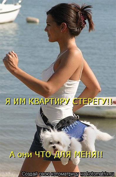 Котоматрица: Я ИМ КВАРТИРУ СТЕРЕГУ!!  А они ЧТО ДЛЯ МЕНЯ!!