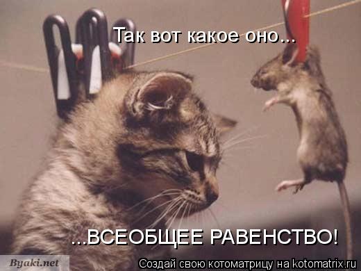 Так вот какое оно... ...ВСЕОБЩЕЕ РАВЕНСТВО!... Котоматрица: Так вот какое оно... ...ВСЕОБЩЕЕ РАВЕНСТВО!