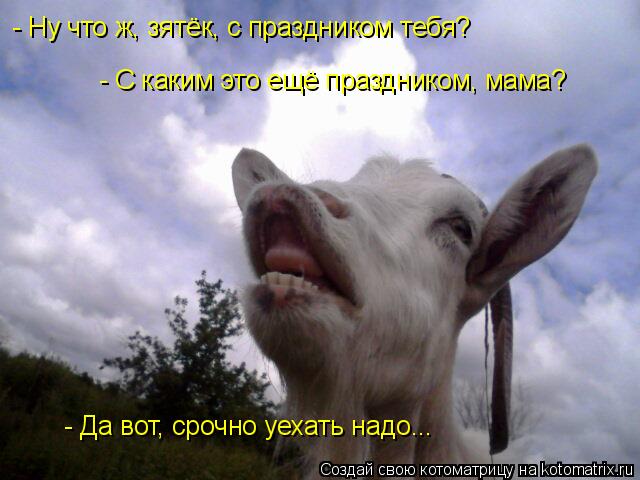 - Ну что ж, зятёк, с праздником тебя? - С каким это ещё праздником, мама? - Да вот, срочно уехать над... Котоматрица: - Ну что ж, зятёк, с праздником тебя? - С каким это ещё праздником, мама? - Да вот, срочно уехать надо...