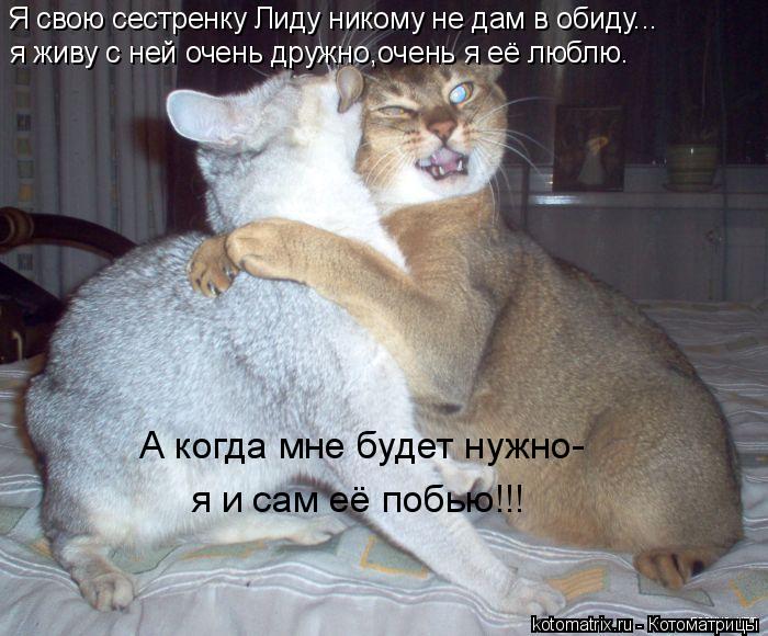 Котоматрица: Я свою сестренку Лиду никому не дам в обиду... я живу с ней очень дружно,очень я её люблю. А когда мне будет нужно- я и сам её побью!!!