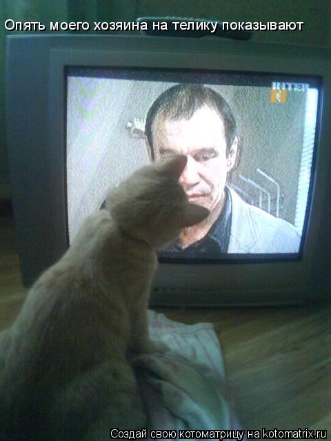 Опять моего хозяина на телику показывают... Котоматрица: Опять моего хозяина на телику показывают