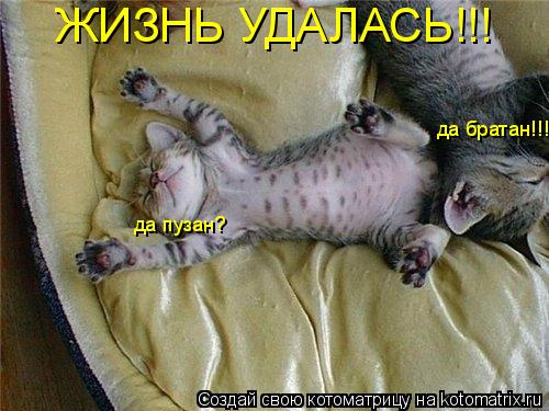 Котоматрица: ЖИЗН УДАЛАСЬ!!! ЖИЗНЬ УДАЛАСЬ!!! да пузан? да братан!!!