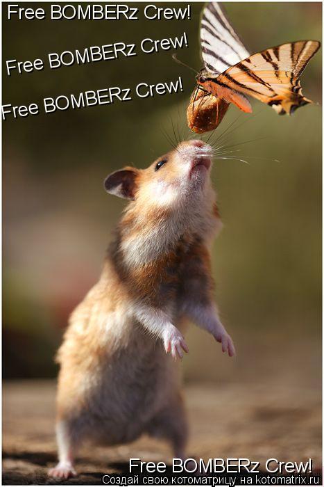 Free BOMBERz Crew! Free BOMBERz Crew! Free BOMBERz Crew! Free BOMBERz Crew! Free BOMBERz Crew!... Котоматрица: Free BOMBERz Crew! Free BOMBERz Crew! Free BOMBERz Crew! Free BOMBERz Crew! Free BOMBERz Crew!