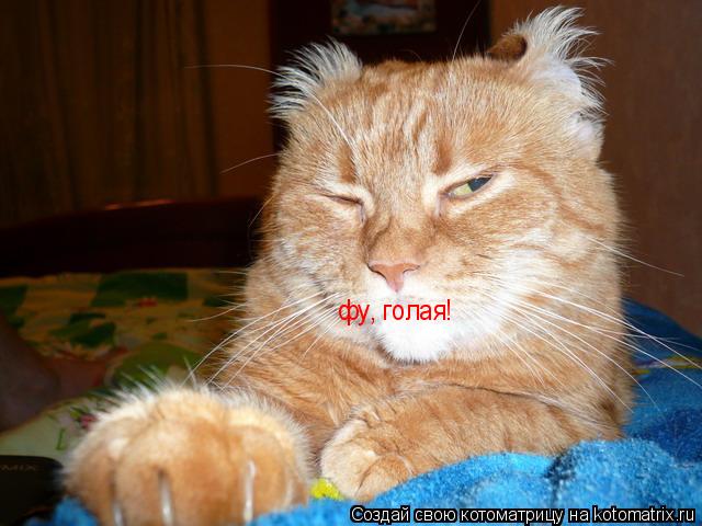 фу, голая!... Котоматрица: фу, голая!