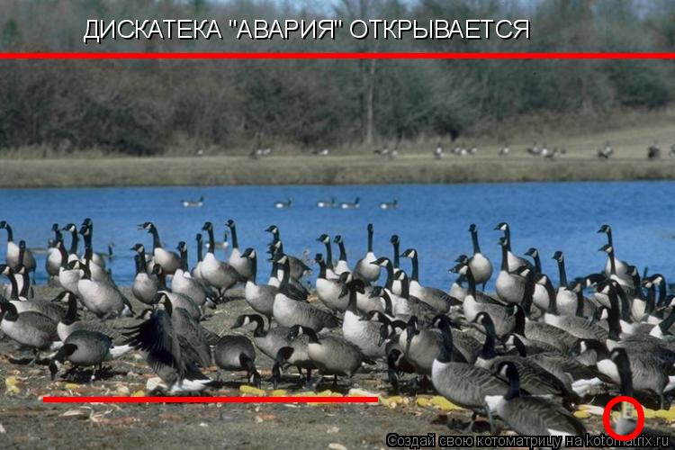ДИСКАТЕКА "АВАРИЯ" ОТКРЫВАЕТСЯ О __________ __________________________... Котоматрица: ДИСКАТЕКА "АВАРИЯ" ОТКРЫВАЕТСЯ О __________ __________________________