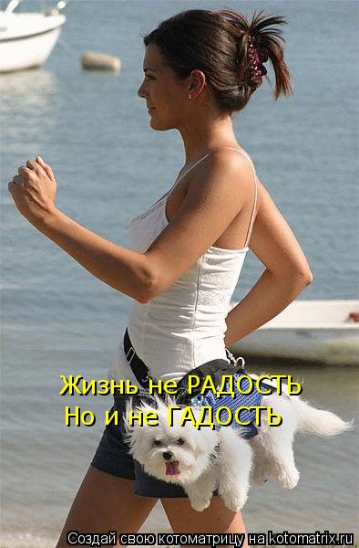Жизнь не РАДОСТЬ Но и не ГАДОСТЬ... Котоматрица: Жизнь не РАДОСТЬ Но и не ГАДОСТЬ