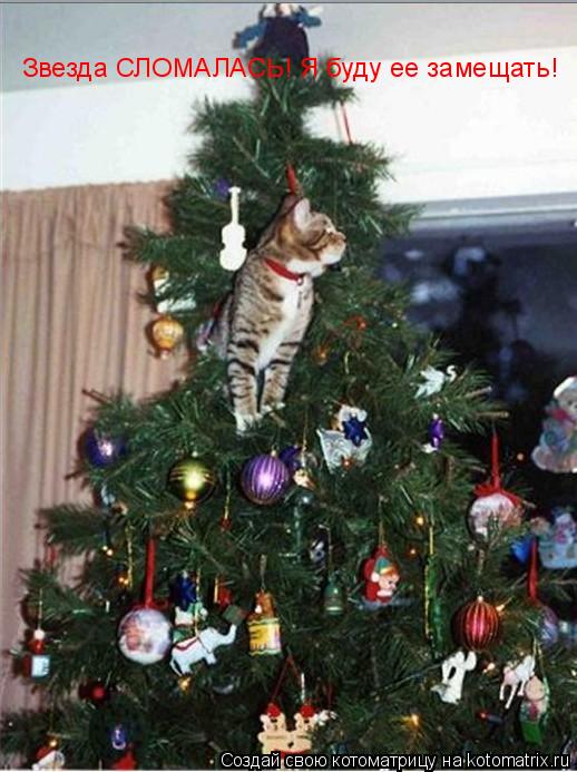Котоматрица: Звезда СЛОМАЛАСЬ! Я буду ее замещать!