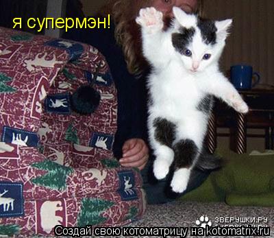 я супермэн!... Котоматрица: я супермэн!