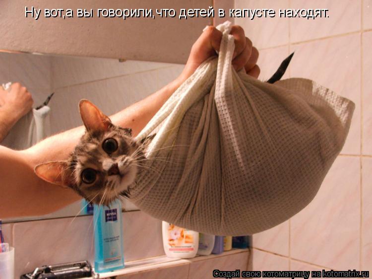 Ну вот,а вы говорили,что детей в капусте находят.... Котоматрица: Ну вот,а вы говорили,что детей в капусте находят.