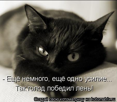 - Ещё немного, ещё одно усилие... Так голод победил лень!... Котоматрица: - Ещё немного, ещё одно усилие... Так голод победил лень!