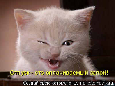 Отпуск - это оплачиваемый запой!... Котоматрица: Отпуск - это оплачиваемый запой!